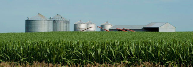 corn field with grain bins and barns