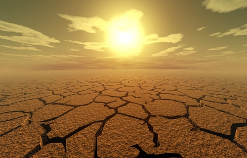 drought pic 2